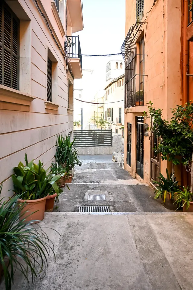 Planta baja 3 habitaciones 63m² en venta - Foners — 17
