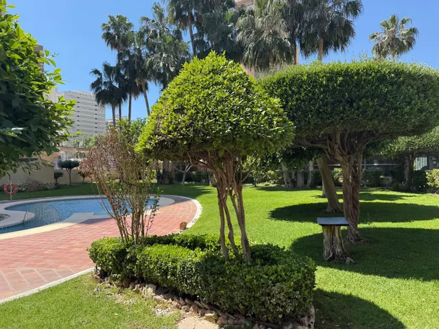 PISO EN PLAYA DE LEVANTE — 11