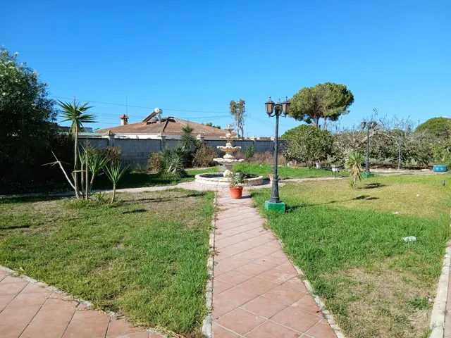 FINCA RÚSTICA EN CAMINIO DE TORREALTA — 7