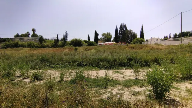 Parcela en venta - Calasparra - foto 2