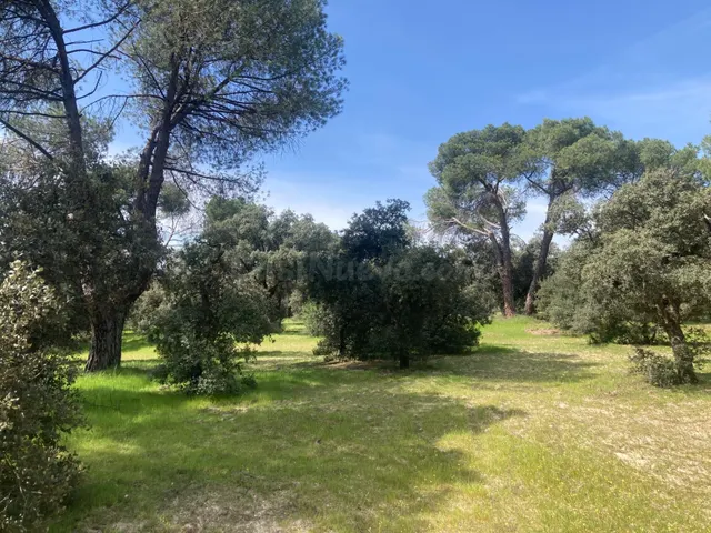 Magnífica parcela para casa unifamiliar en Urb. Encinas (Fin - foto 2