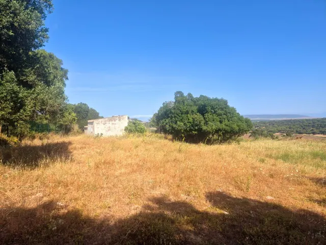Tu refugio entre Vejer y el Atlántico — 5