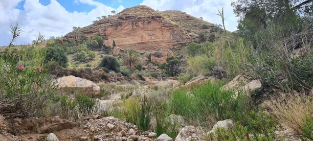 Parcela 330m² en venta - Abanilla — 7