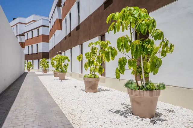 Apartamento 2 habitaciones 93m² en venta - Costa Del Sol — 24