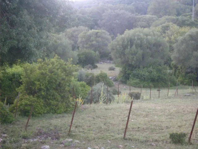 Parcela en venta - El colmenar cortes de la frontera — 10