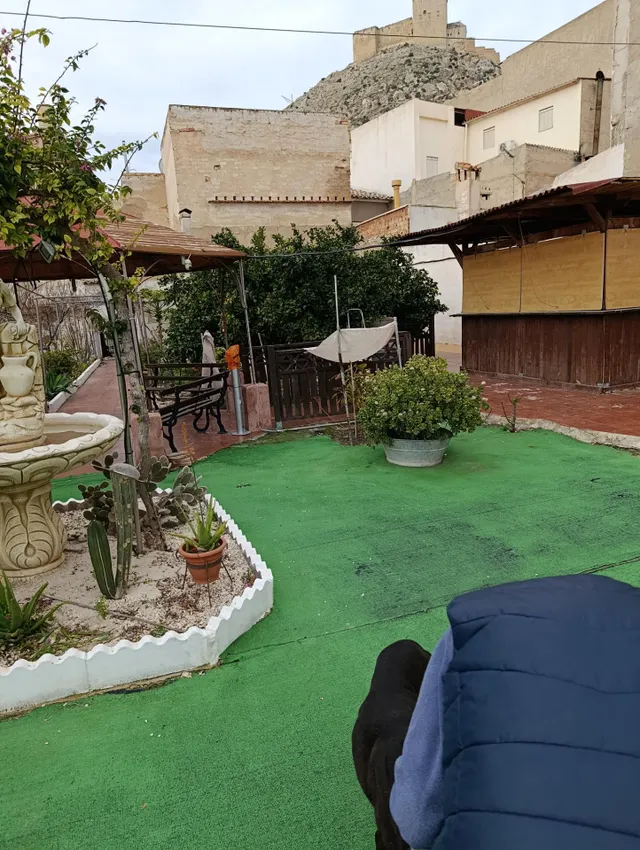 VIVIENDA CON TERRENO CENTRO MULA — 23