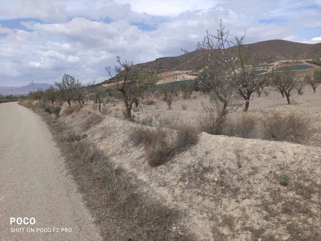 TERRENO AGRICOLA DE REGADÍO EN AGUADERAS, LORCA - foto 4