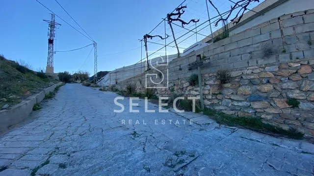 FINCA RUSTICA EN GUALCHOS - foto 4