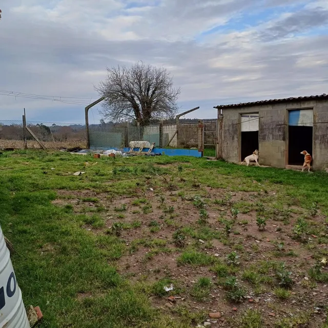 SE VENDE CASA DE ALDEA EN ARZUA PARA REFORMAR — 4