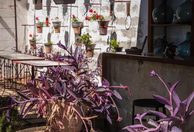 ENCANTADOR CORTIJO CON VISTAS PANORÁMICAS EN LANJARÓN — 25
