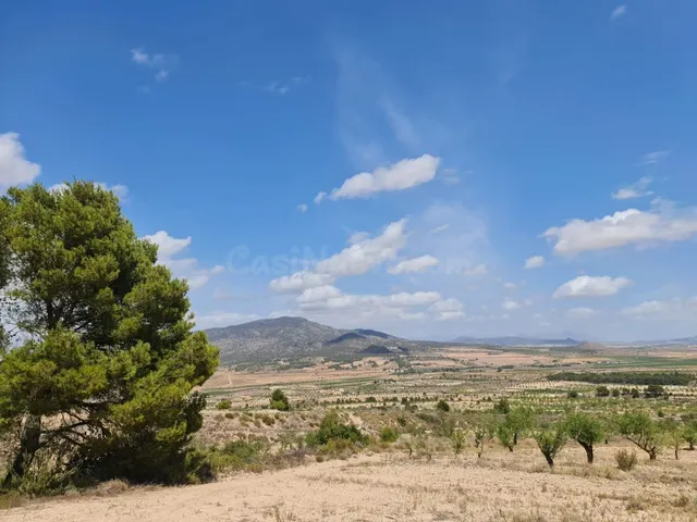 Parcela 1500m² en venta - Ayuntamiento - foto 2