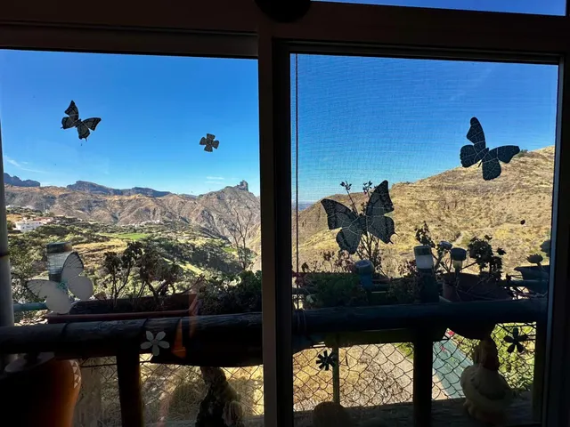 Casa ubicada en el Rincón bajo de Tejeda — 31