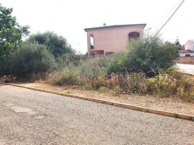 Solar con muchas posibilidades en Ses Salines - foto 5