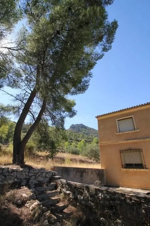 IMPRESIONANTE FINCA DE 30 HECTÁREAS CON TERRENO CULTIVABLE Y VISTAS PANORÁMICAS A VILLENA — 31