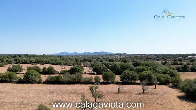 Terreno de 19.000 m2 a 2 km de Ses Salines