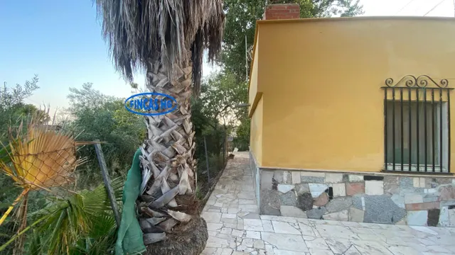 Típica casa tradicional de campo situada sobre terreno URBANO!  de 3900m2 — 42