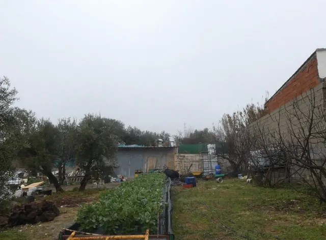 Finca rústica en Peligros – Ideal inversión o explotación agrícola — 12