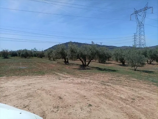 Finca rústica en venta — 13