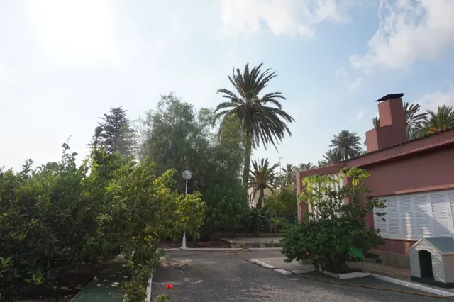 VIVA EN UN VERGEL A MENOS DE UN KM DE ELCHE! — 10