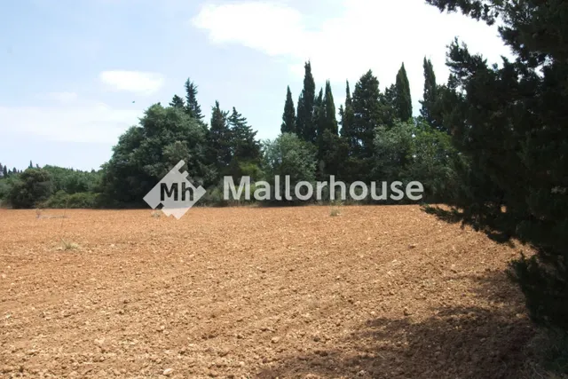 Finca rústica 1m² en venta - Centro - foto 2