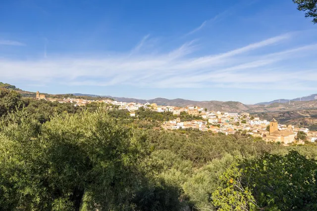 ¡Oportunidad única! Dos Fincas rústicas de mas de 15.000 m2  - foto 3