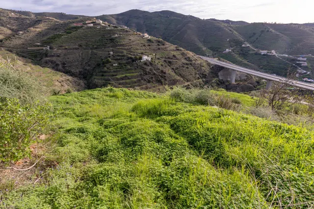 Finca en Ítrabo - Almuñecar — 8