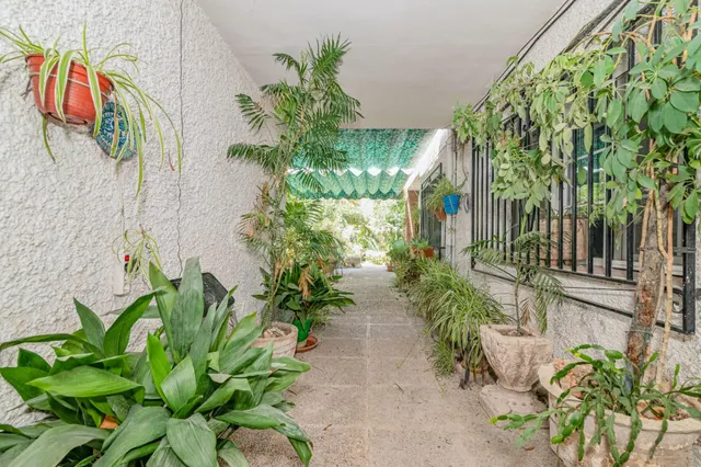 El jardín que siempre soñaste, ahora en Granada capital. — 2