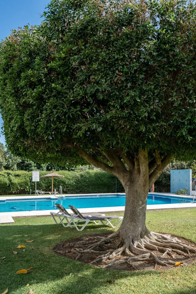 Apartamento 2 habitaciones 155m² en venta - Marbella — 22