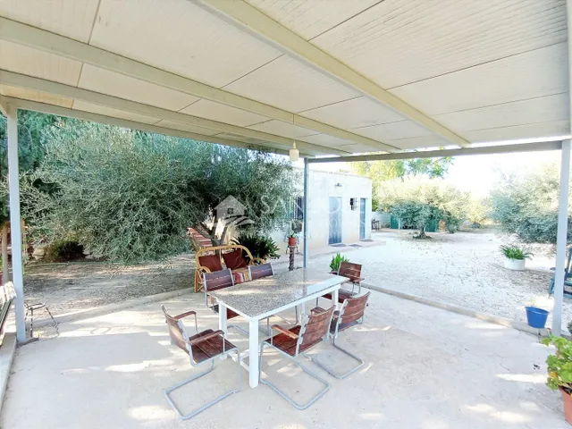 VENTA DE PARCELA ENTRE LA ROMANA Y ASPE — 6