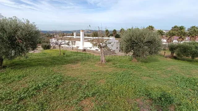 PRECIOSA FINCA MUY PRÓXIMA A ARCOS - foto 5