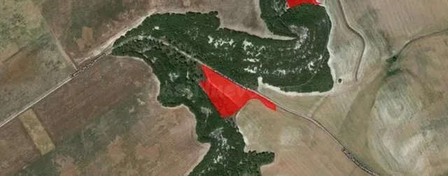 TERRENO EN PARAJE LOS BARREALES, POL. 6, PARCELA 5056, SIMAN - foto 5