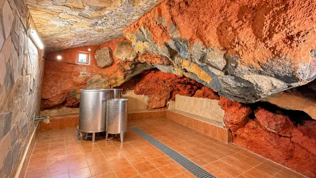 Finca exclusiva en Vilaflor · 2 viviendas, viñedo, bodega y piscina — 68
