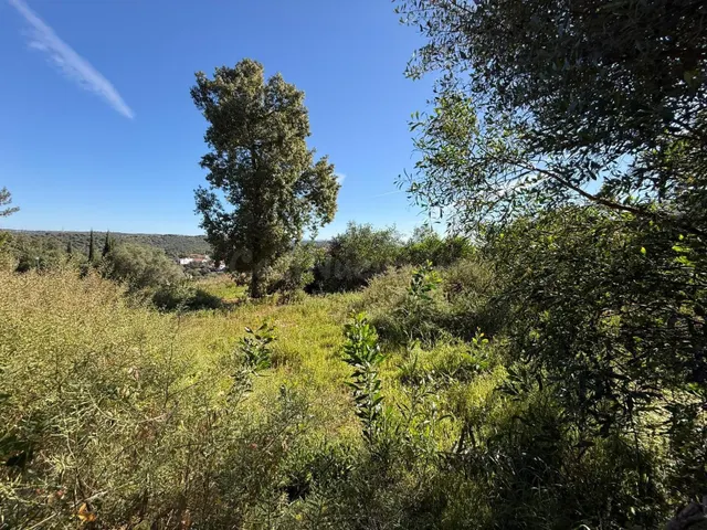 Terreno urbano en venta - Las Pajanosas - foto 4