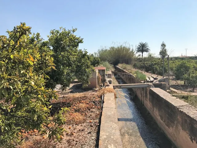 Magnifica finca de naranjos en plena producción - foto 4