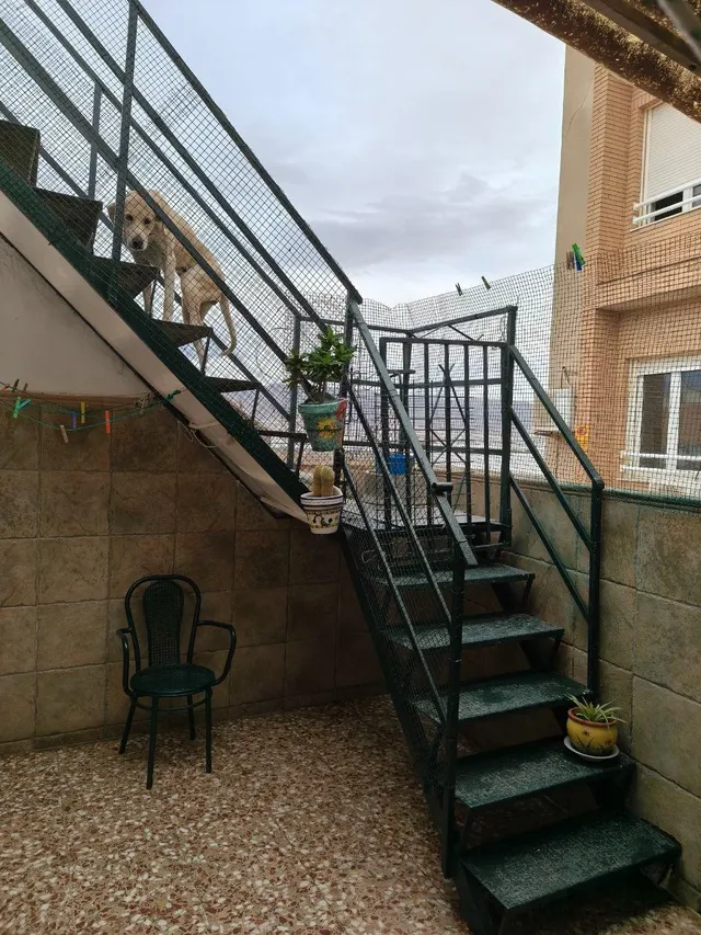 Amplia Casa en Roquetas de Mar, Ideal para Entrar a Vivir — 7