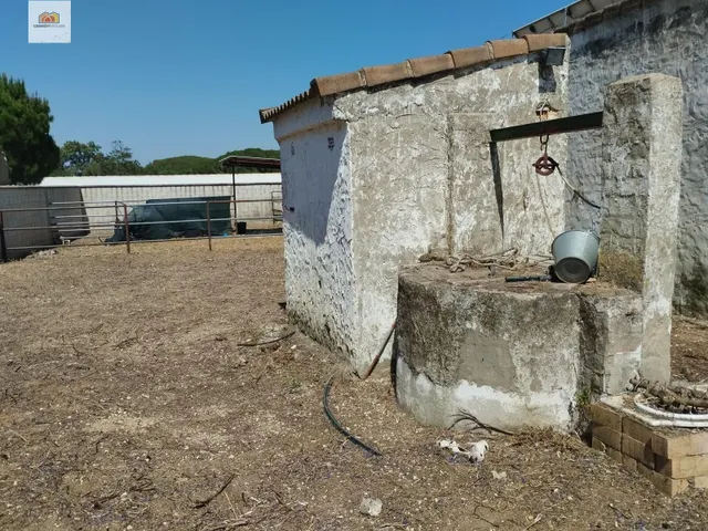 Campito en el pago del humo ideal para caballos — 9
