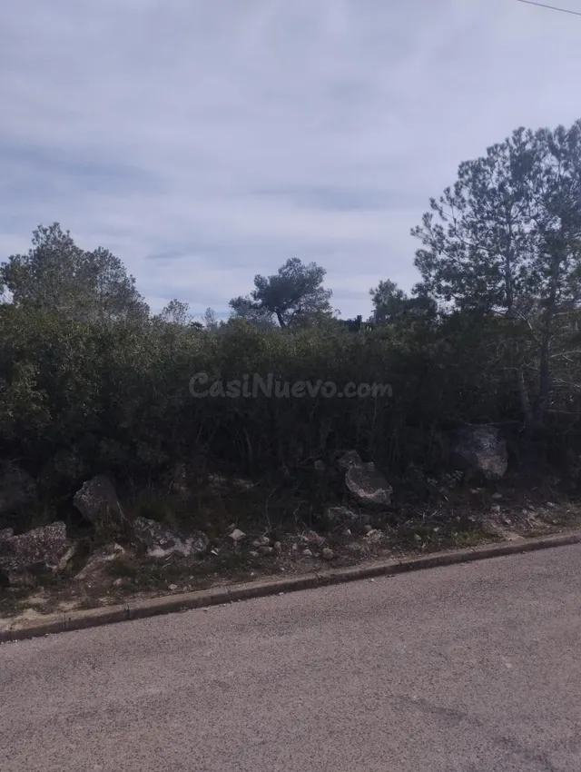 GRAN PARCELA EN VENTA EN CAN GORDEY - foto 5