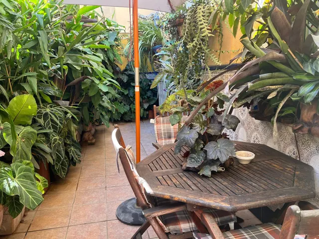 Piso en planta baja en San Rafael - Ontinyent — 2