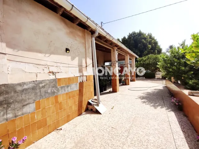 Fantástica casa de campo con parcela en la zona del campo de Elche, Alicante, Costa Blanca — 4