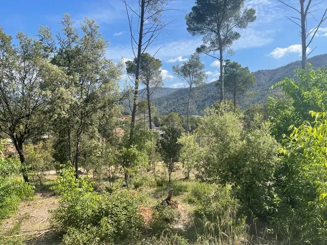 GRAN TERRENO EN CAL ANTON — 4
