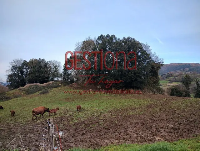 CASA DE PIEDRA CON AMPLIA PARCELA. ESCOBEDO DE VILLAFUFRE. — 46