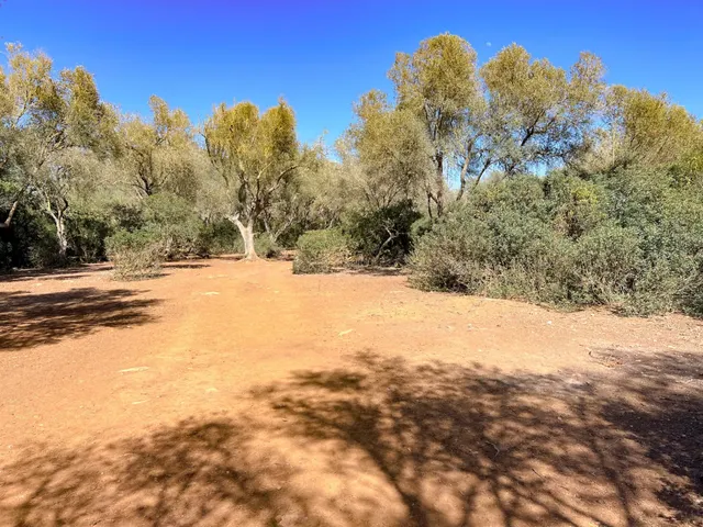 Venta de Terreno de 61,021 m2 con Licencia para construir en - foto 5