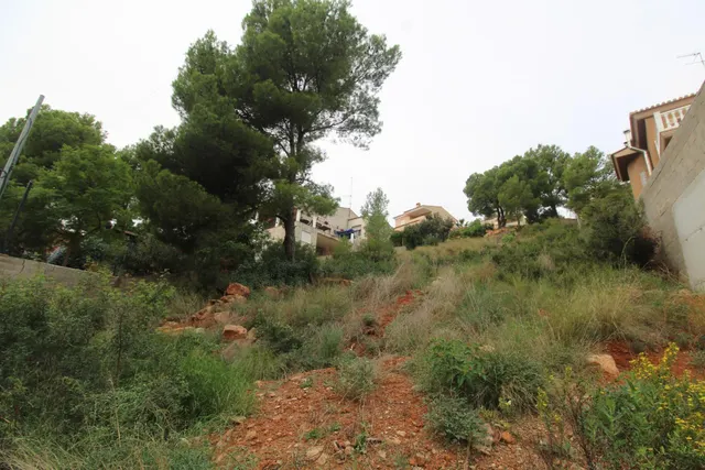 Terreno urbanizable con proyecto en Náquera. — 15