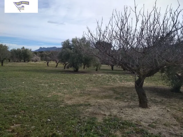 OPORTUNIDAD TERRENO CON REFUGIO EN AGULLENT/ALBAIDA — 5