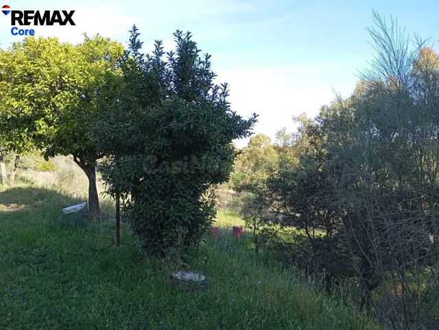 Finca Rústica a 10 Minutos de Cáceres: El Refugio Perfecto - foto 4