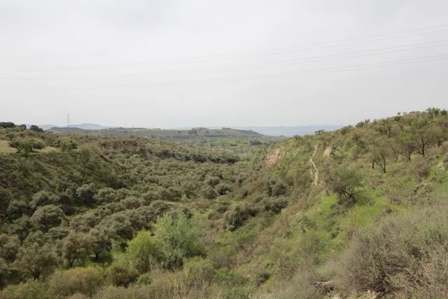 FINCA EN CORTIJO SAN JERÓNIMO (BARTODANO) — 3