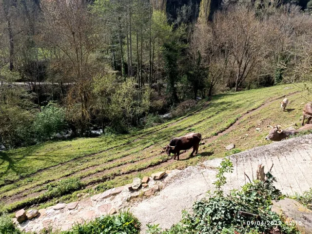 Terreno urbano con proyecto incluido — 13