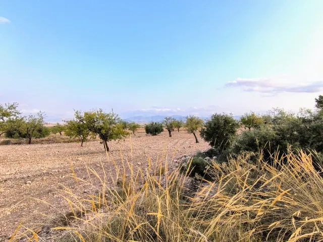 Parcelas rurales en venta en Pinoso, Comunidad Valenciana
