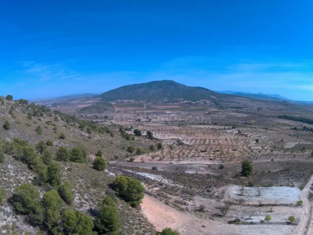 Parcela 1500m² en venta - Ayuntamiento - foto 5