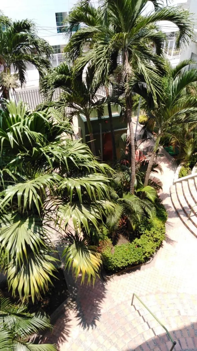 Se vende apartamento en Pie de la Popa. - foto 4